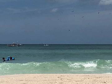 Vacation Home for 2 Guests in Sarasota, Sarasota County, Picture 1