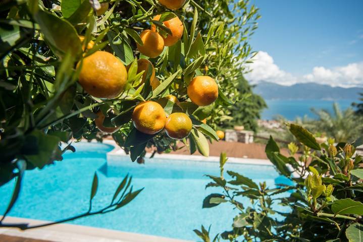Villa für 6 Personen, mit Garten und Pool, mit Haustier - 1