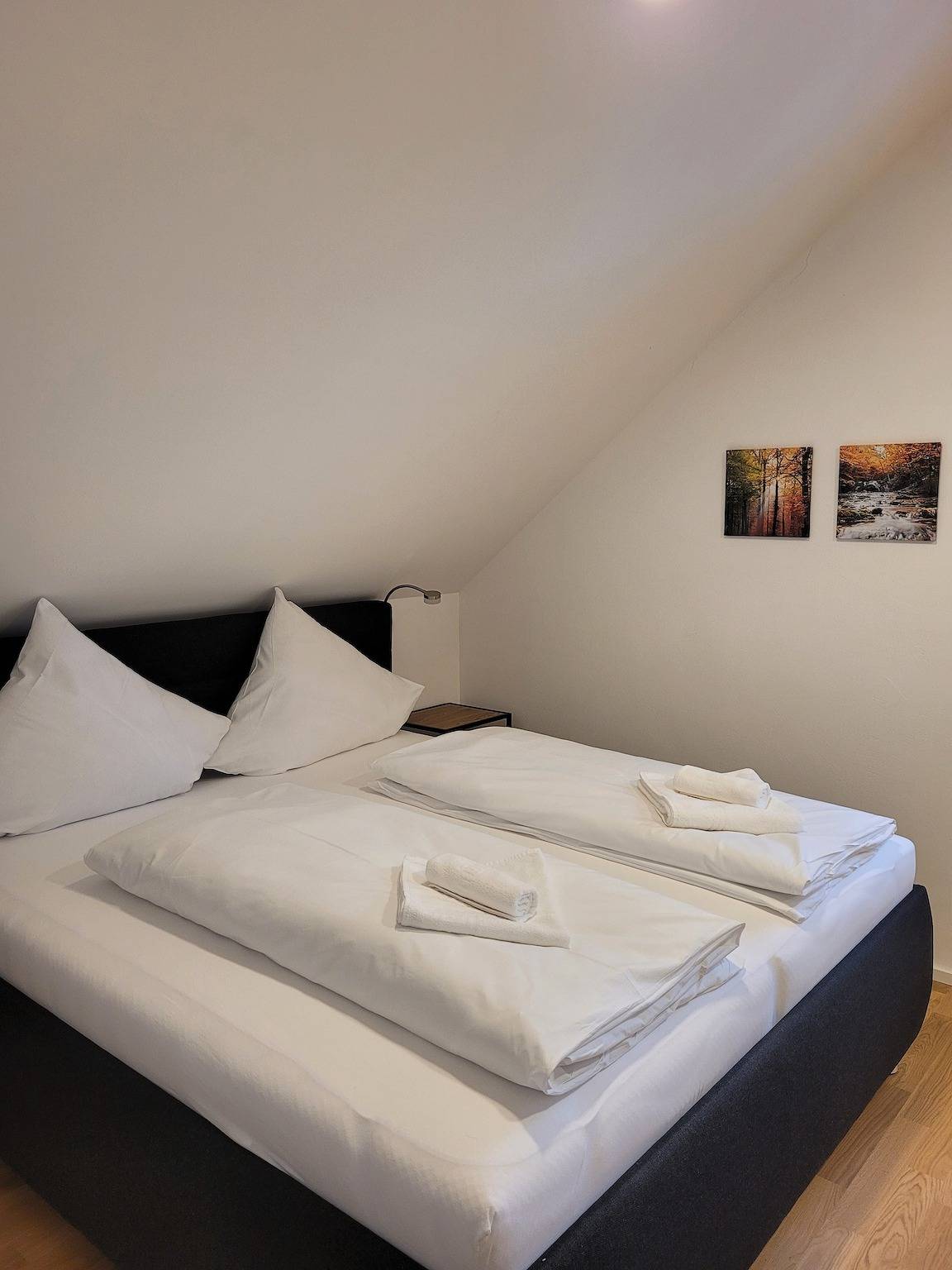 Entire holiday apartment, Holiday apartment for 6 people with balcony in Suedlicher Schwarzwald, Feldberg