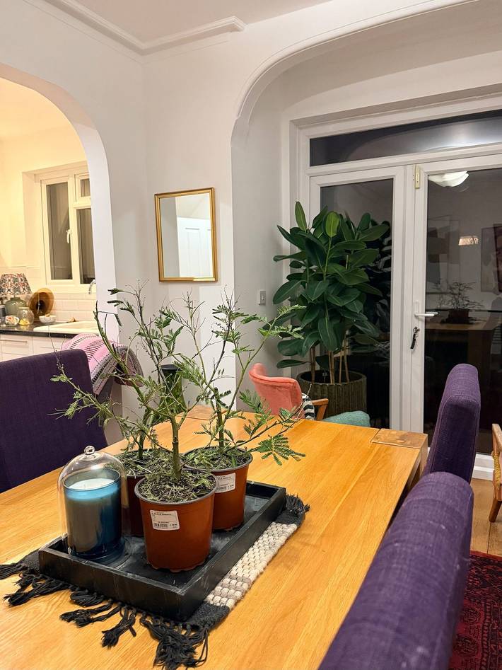 Ferienhaus für 2 Personen, mit Garten in London