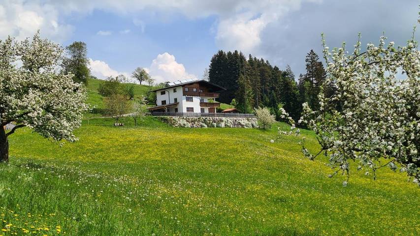 Ferienwohnung für 4 Personen, mit Terrasse und Garten sowie Ausblick in Niederndorferberg