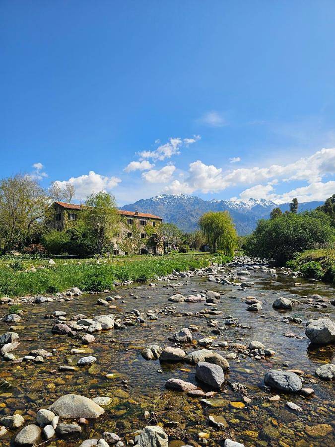 Location de vacances pour 2 personnes, avec jardin et vue, animaux acceptés à Montegrosso