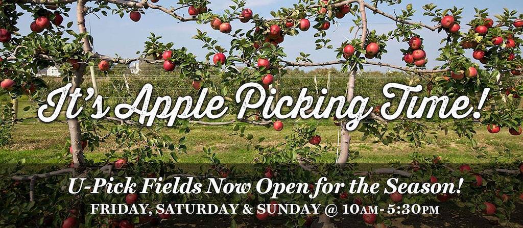 Ferienhaus für 5 Personen, mit Garten - 1