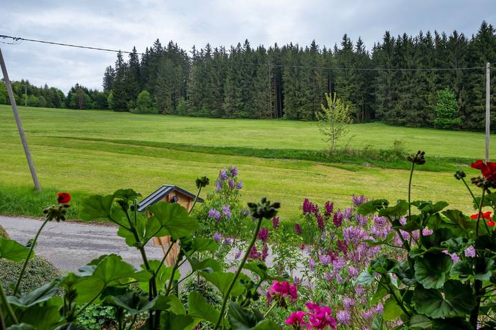 Ferienwohnung für 4 Personen, mit Garten, mit Haustier in Titisee-Neustadt - 4