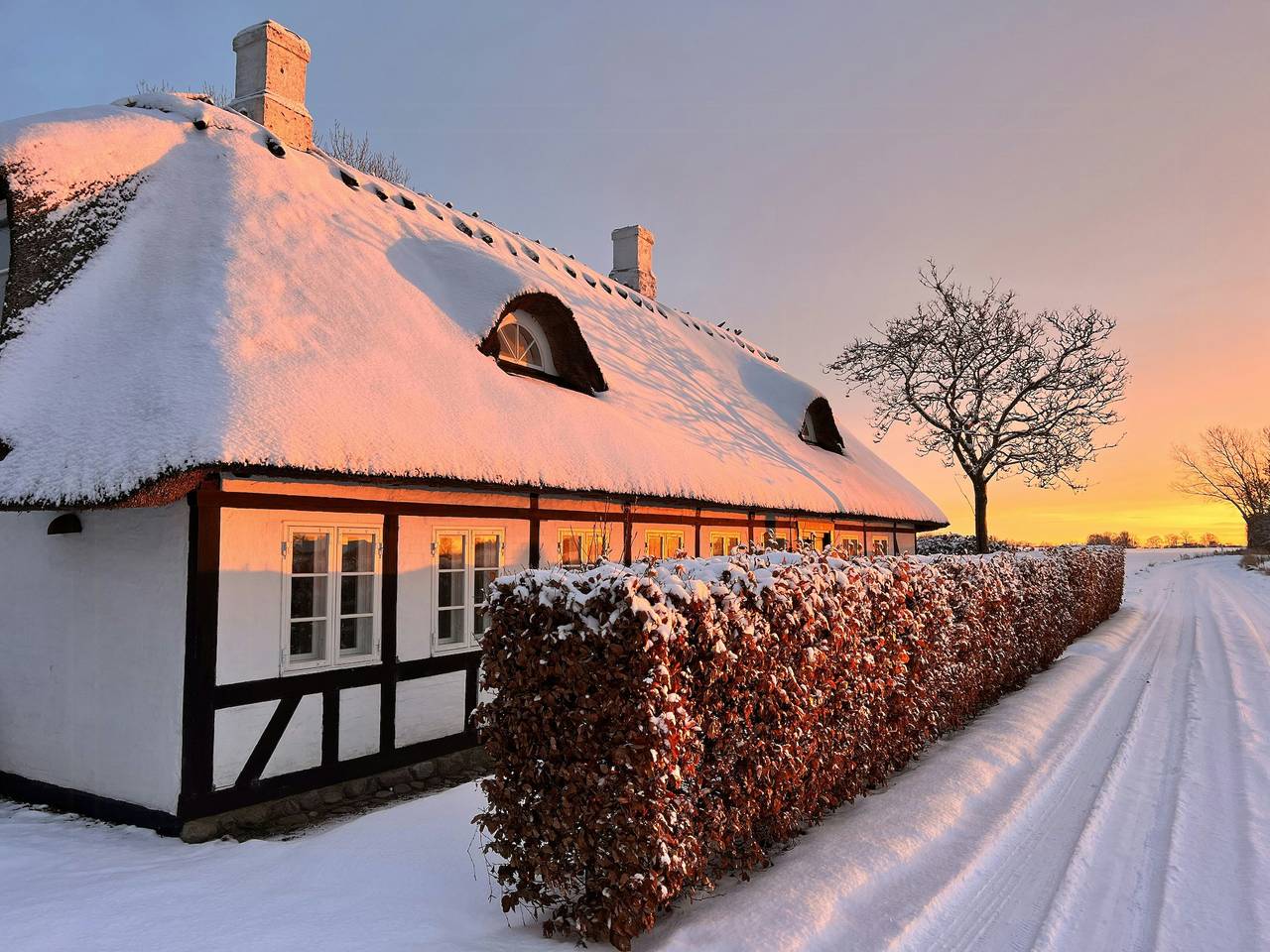 Ästhetische ländliche Idylle in der Landschaft von Ostfünen in Nyborg, Nyborg und Umgebung