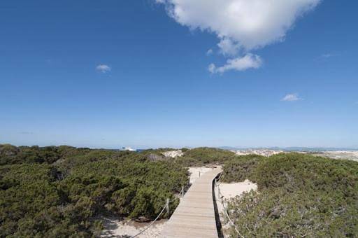 One-Bedroom Apartment in Es Pujols, Formentera