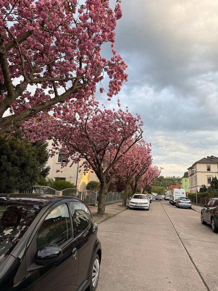 Ferienhaus für 6 Personen, mit Garten und Sauna in Cossebaude