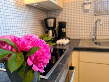 Ferienwohnung für 4 Personen, mit Garten und Terrasse, kinderfreundlich in Biendorf