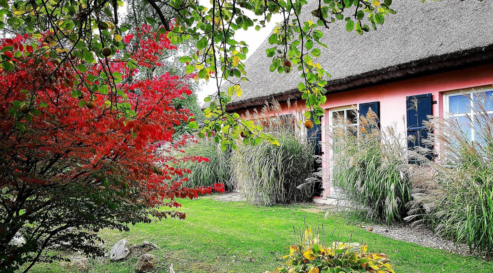 Ganze Ferienwohnung, Hof Garz Wohnung Rosengarten in Poseritz, Rügen