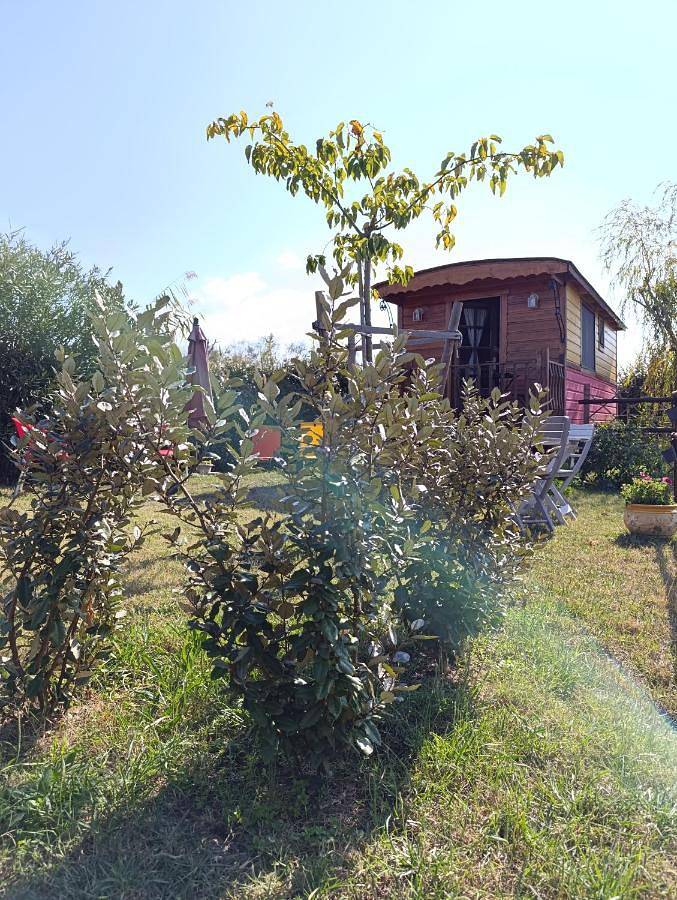 Roulotte Lou Gregau in Saintes-Maries-de-la-Mer, Région d'Arles