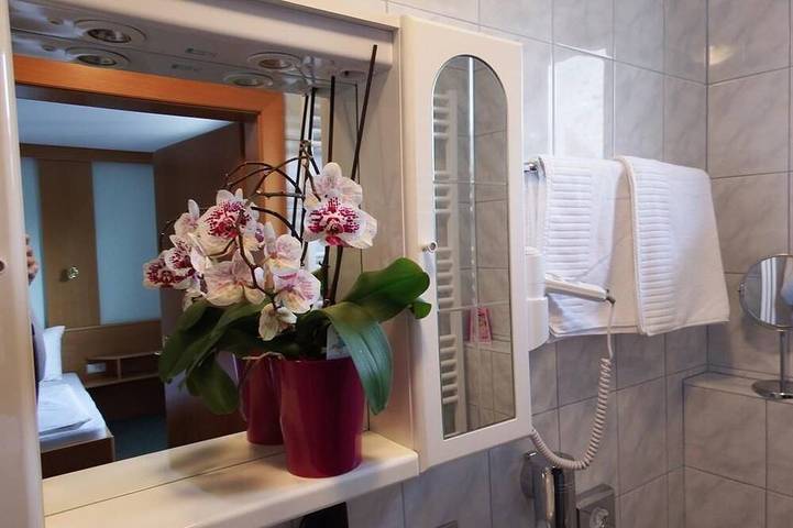 Gartenpension Fischl - Doppelzimmer mit Dusche, Wc in Mörbisch am See, Leithaberg