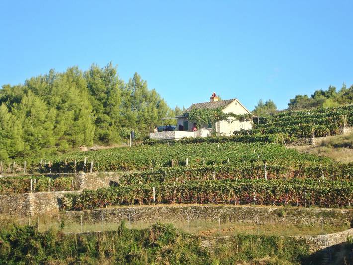 House Krunoslav in Postira, Brac