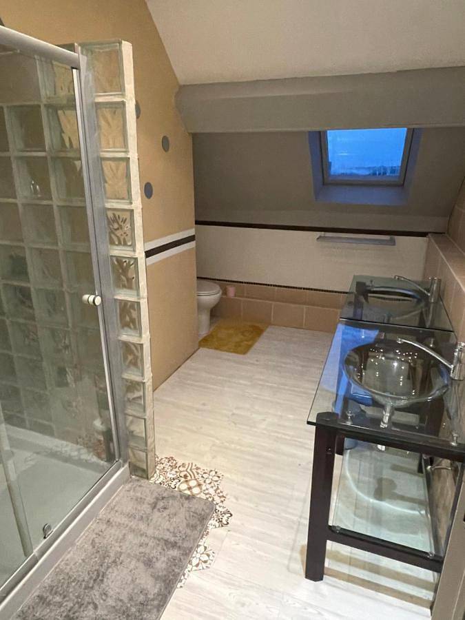 Location de vacances pour 10 personnes, avec Terrasse et Jardin à Savigny-sur-Braye - 4