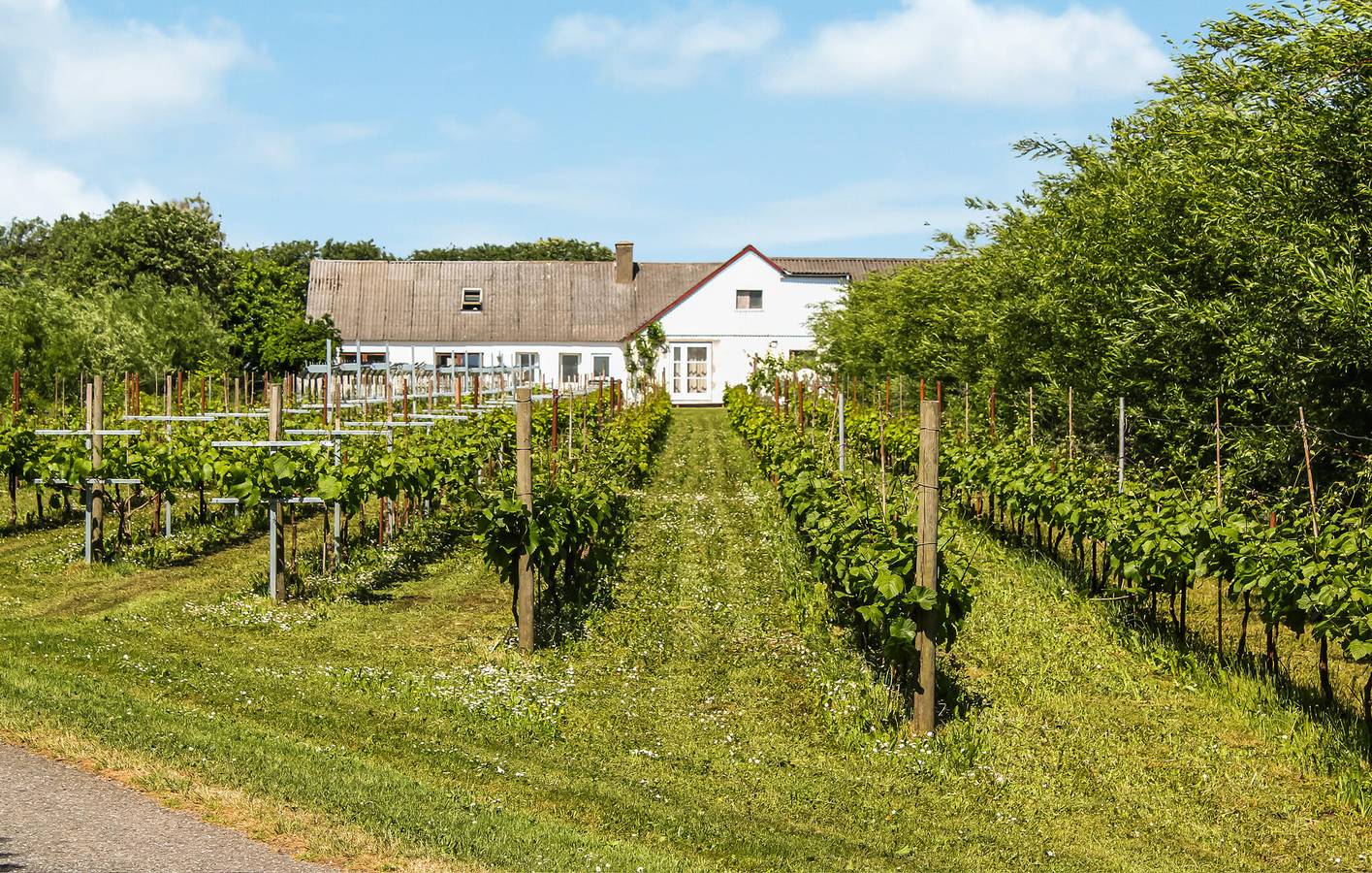 Ganze Ferienwohnung, Ferienwohnung für 4 Personen in Limfjord in Nordjütland