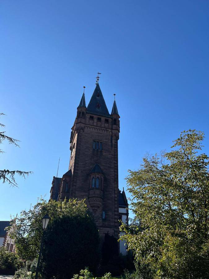 Ferienwohnung für 3 Personen, mit Ausblick und Terrasse in Weinheim - 4
