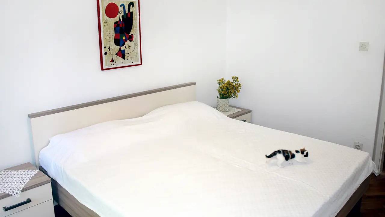 Apartamento vacacional entero, Ferienwohnung für 4 Personen (34 m²) in Jelsa in Jelsa, Hvar (isla)