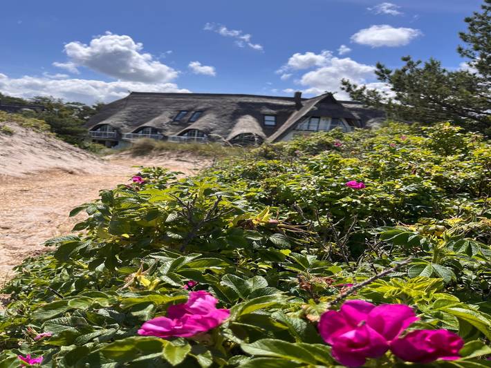 Ferienhaus für 6 Personen, mit Terrasse und Pool sowie Sauna in Dierhagen - 4