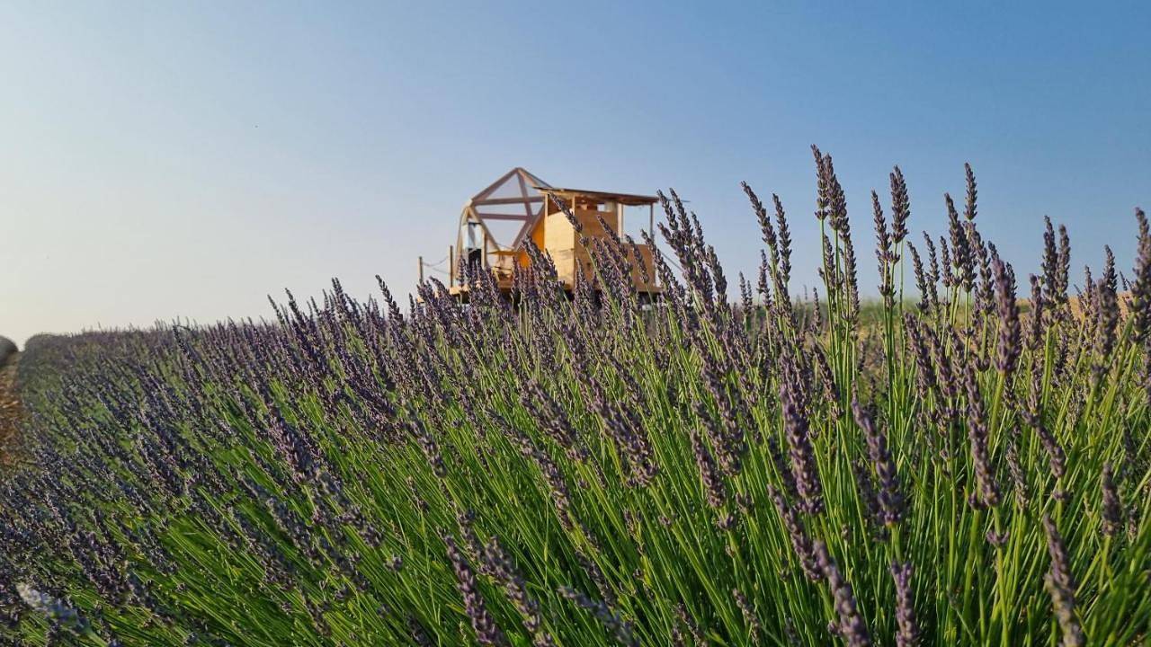 La bulle ico in Valensole, Parc naturel régional du Verdon
