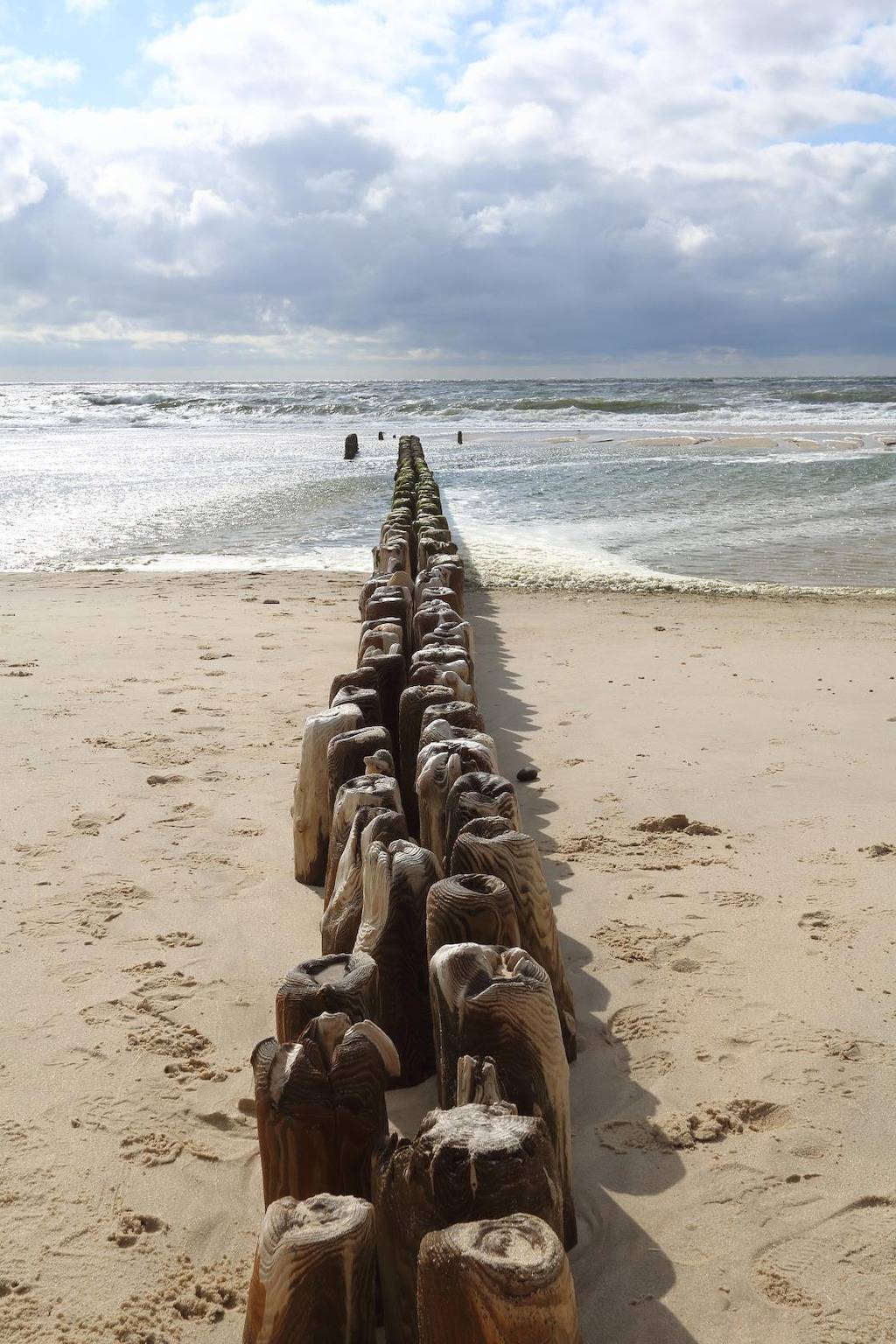 Ganze Wohnung, Haus am Meer 038 Wb in Westerland, Sylt (Gemeinde)