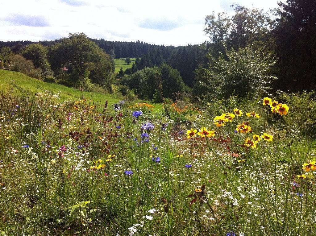 La Ferme du Garnasson - Chambre Cassis in Doranges, Parc Naturel Régional Livradois-Forez