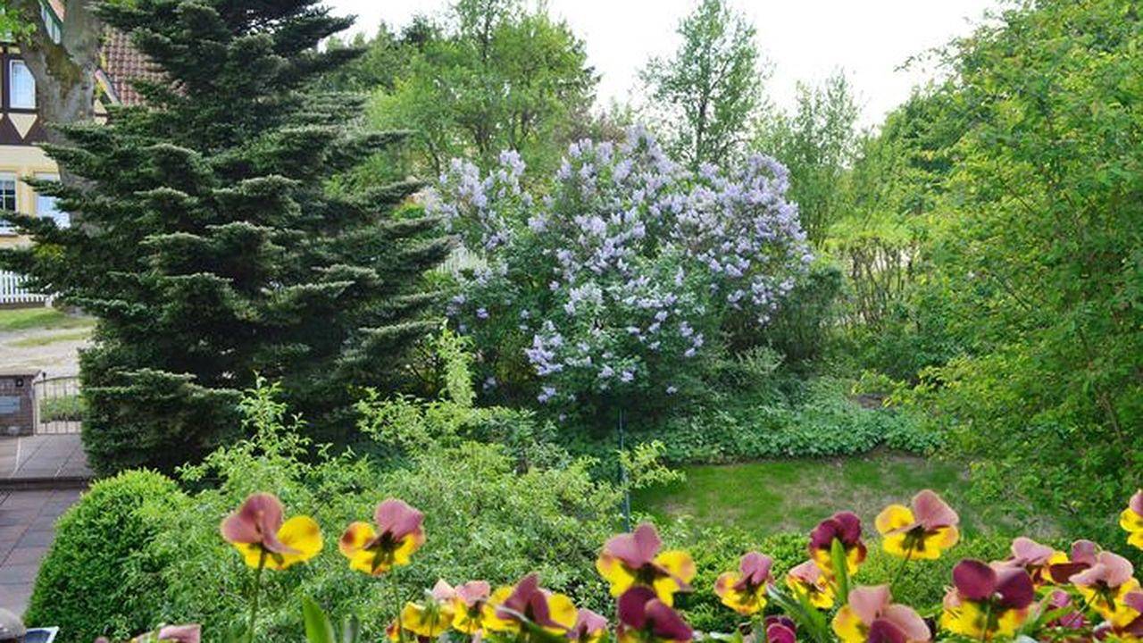 Ganze Ferienwohnung, Ferienwohnung für 3 Personen (60 m²) in Bad Bevensen in Bad Bevensen, Landkreis Uelzen