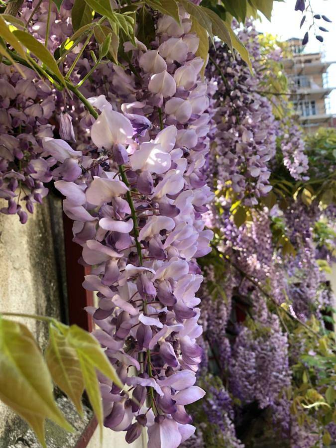 Maison d’hôte pour 4 personnes, avec jardin ainsi que terrasse et vue à Turin - 4