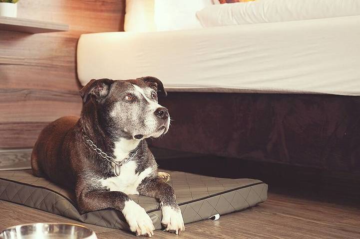 Ferienhaus für 4 Personen, mit Haustier in Goslar - 3