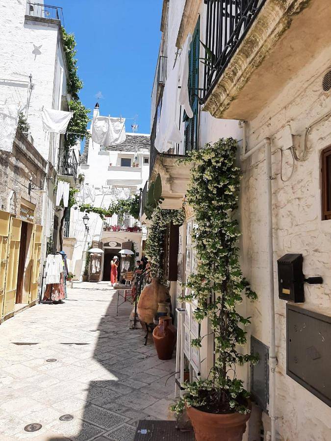 Ferienhaus für 5 Personen, mit Terrasse und Ausblick, mit Haustier - 1