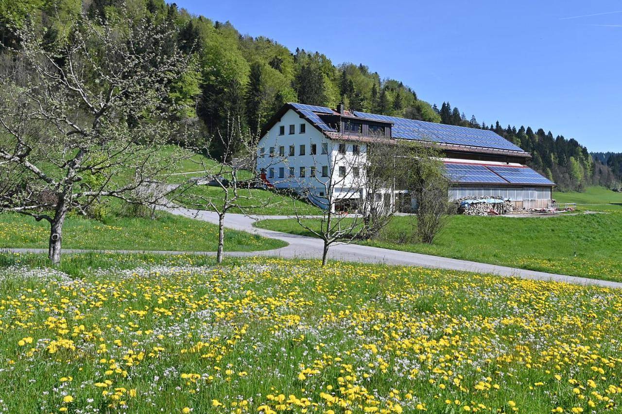 Ganze Wohnung, Auszeithof Vögel in Sulzberg (Österreich), Bodensee-Vorarlberg