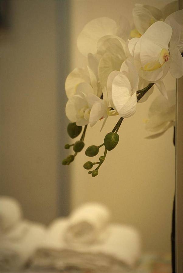 Apartamento entero, Apartamento Paula in Valladolid, Provincia de Valladolid