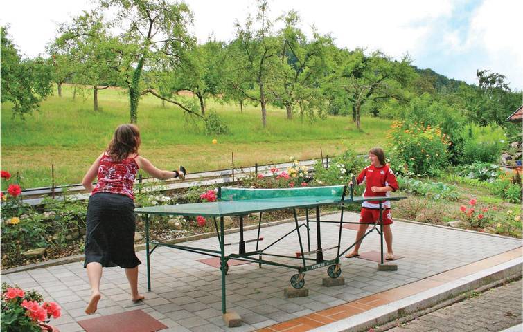 Ganze Ferienwohnung, Poolside Terrace Apt, Welschensteinach in Steinach, Mittlerer Schwarzwald