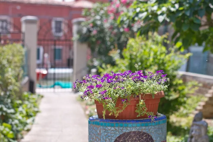 Alojamiento y desayuno para 3 personas, con jardín - 1