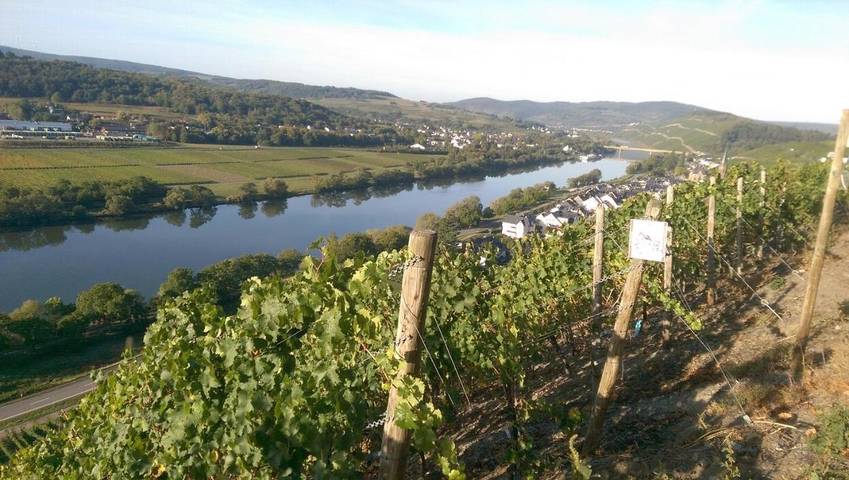Ferienhaus für 6 Personen, mit Ausblick und Garten in Lieser - 4