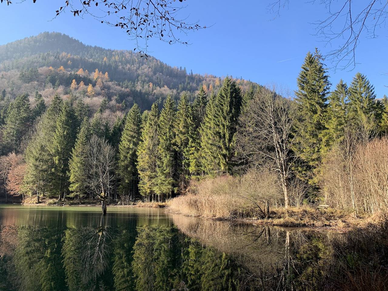 Haus Bergsteigerglück - Haus Bergsteigerglück, 115 qm, 1-4 Personen in Schleching, Bayerische Alpen