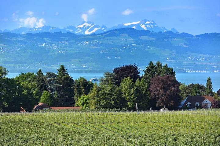 Ganze Wohnung, Ferienwohnung 'Dinkelbach Traumblick Objekt 3 B' mit Seeblick, Panorama Alpenblick und Balkon in Wasserburg (Bodensee), Bayerisch Schwaben