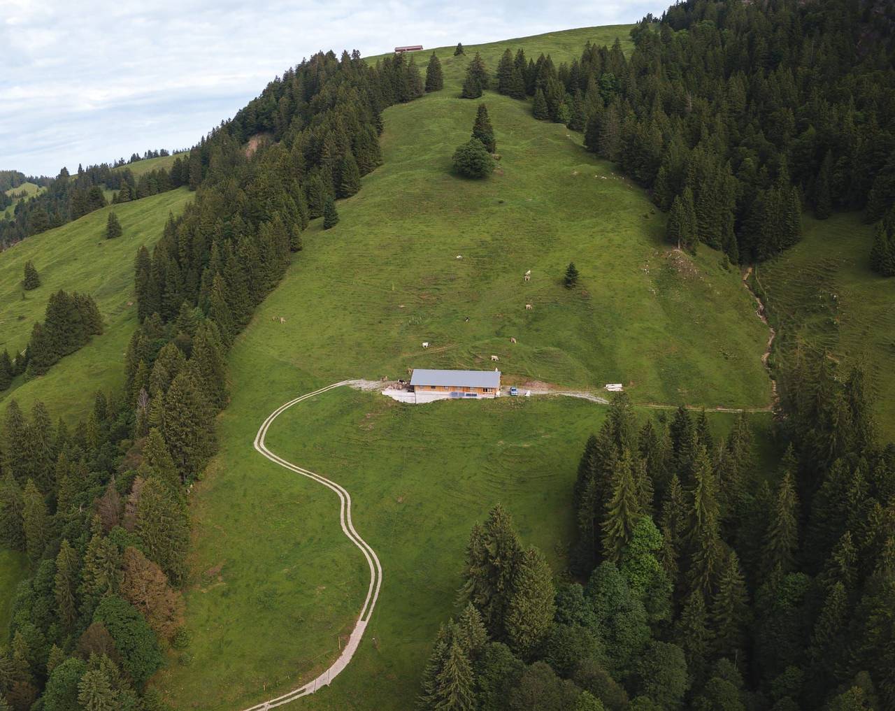 Alp Scherlet in Ennetbühl, Nesslau