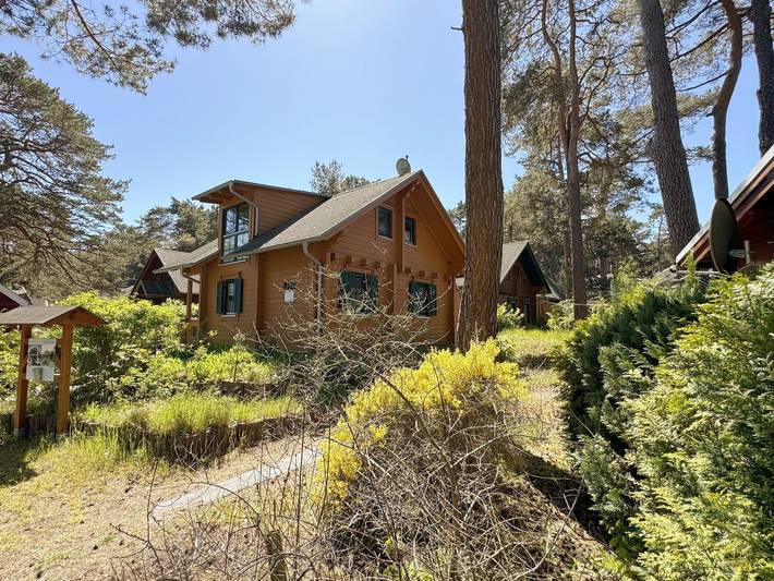 Ferienhaus für 5 Personen, mit Terrasse und Ausblick in Baabe - 4