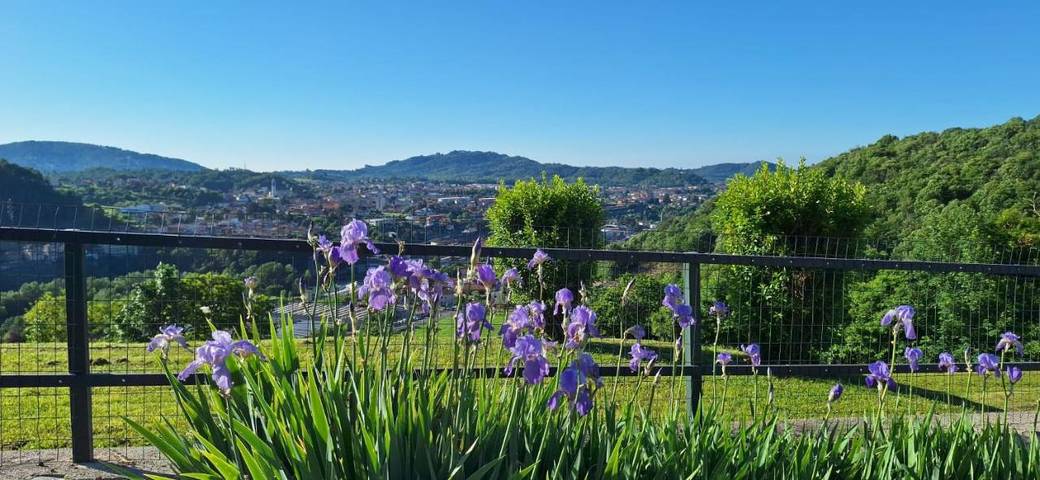 Gîte pour 3 personnes, avec Balcon et Terrasse ainsi que Jardin et Vue
