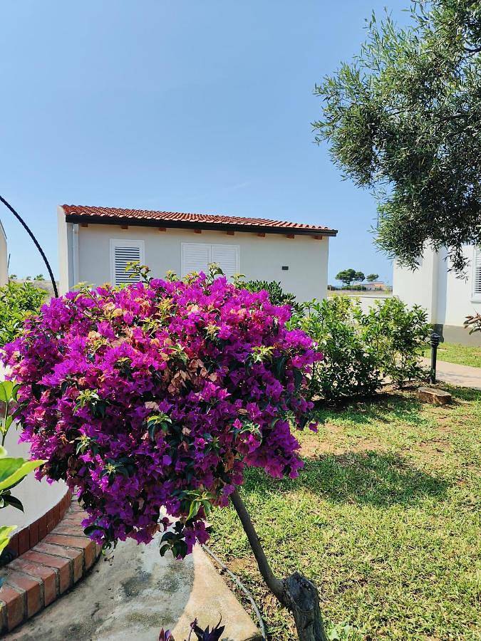 Apartment with Garden View in Carini, Provincia di Palermo