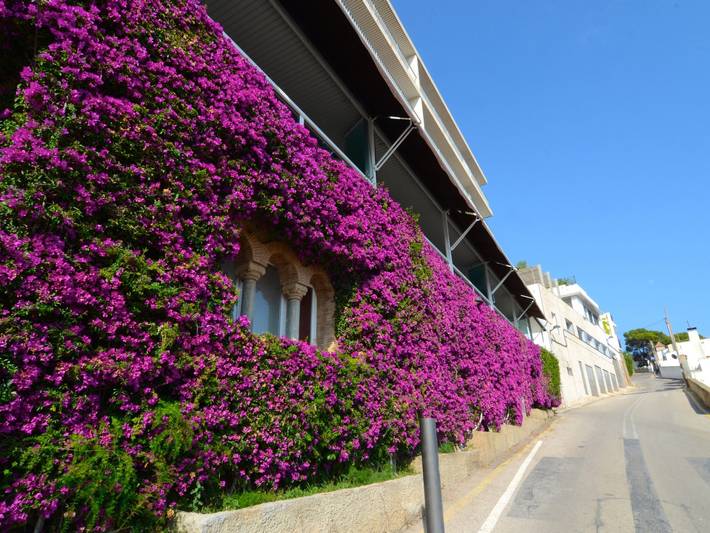 Ganze Wohnung, Nautische Ferien in L'Estartit mit Pool und Haustiere Erlaubt in l'Estartit, Torroella de Montgrí