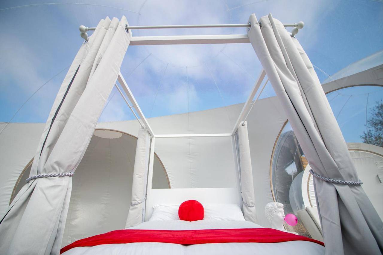 Tent in Kent