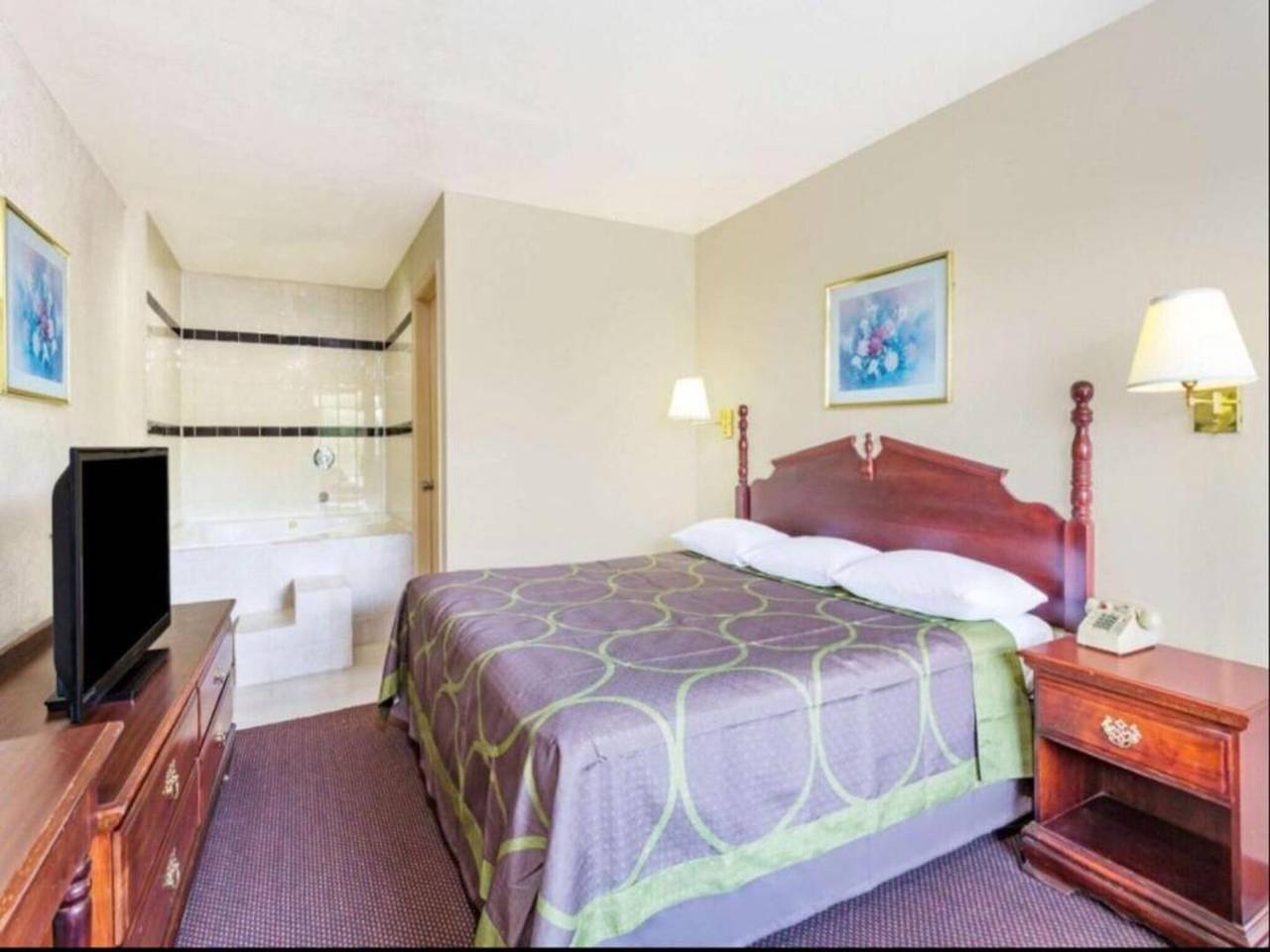 Ganze Wohnung, 1 Schlafzimmer Suite Zugänglich in Ashland (VA), Hanover County
