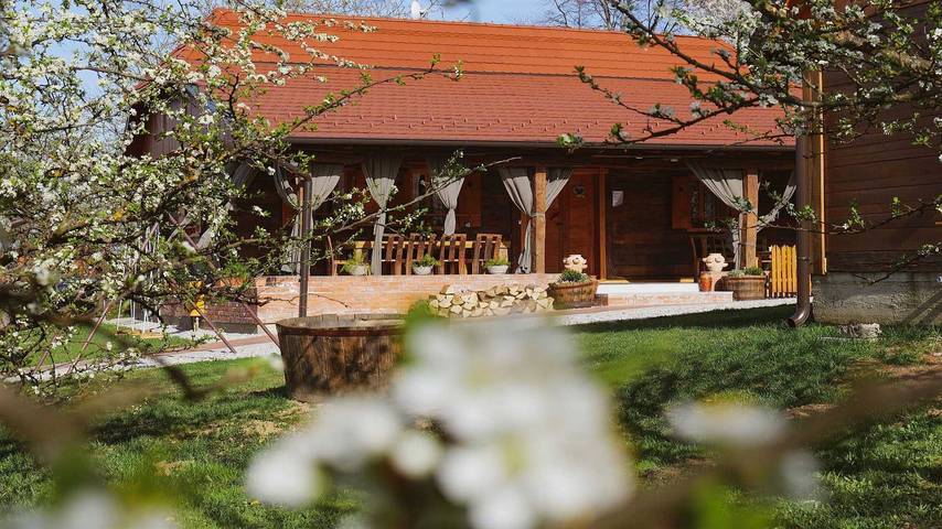 Villa pour 9 personnes, avec sauna ainsi que balcon/terrasse et terrasse, animaux acceptés - 1