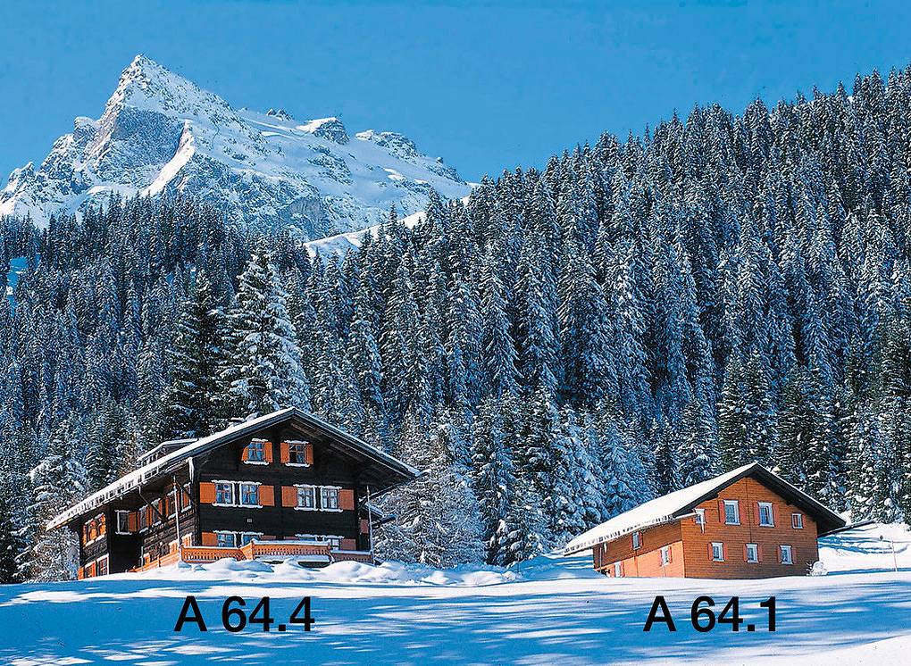 A 064.001 - Chalet Borstboden in Rätikon Gebirgsgruppe, Sankt Gallenkirch