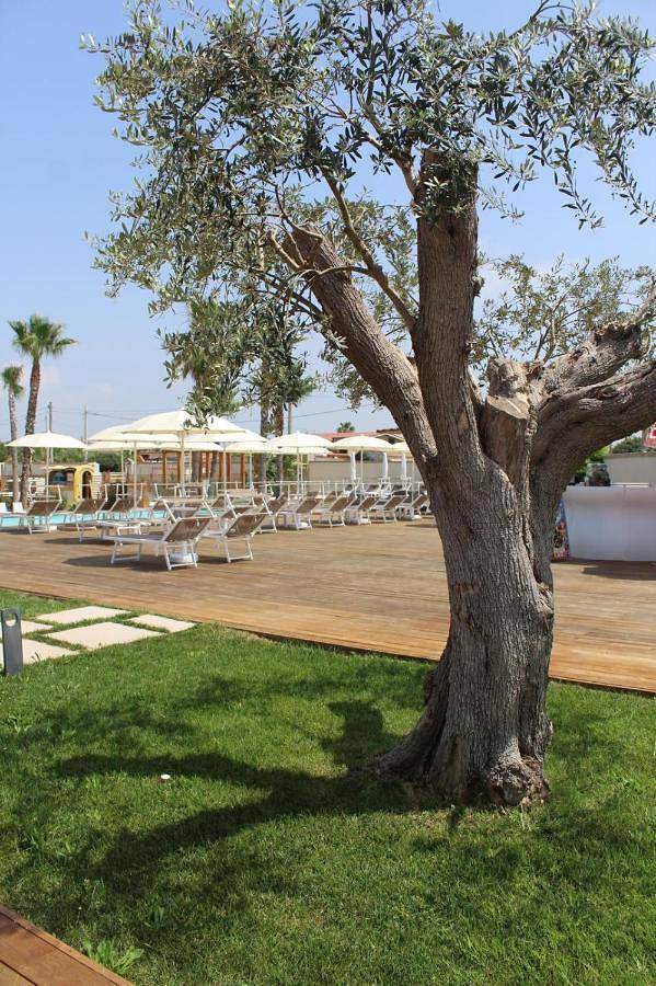 Appartamento per 3 persone, con panorama e piscina per bambini nonché piscina a Mondragone