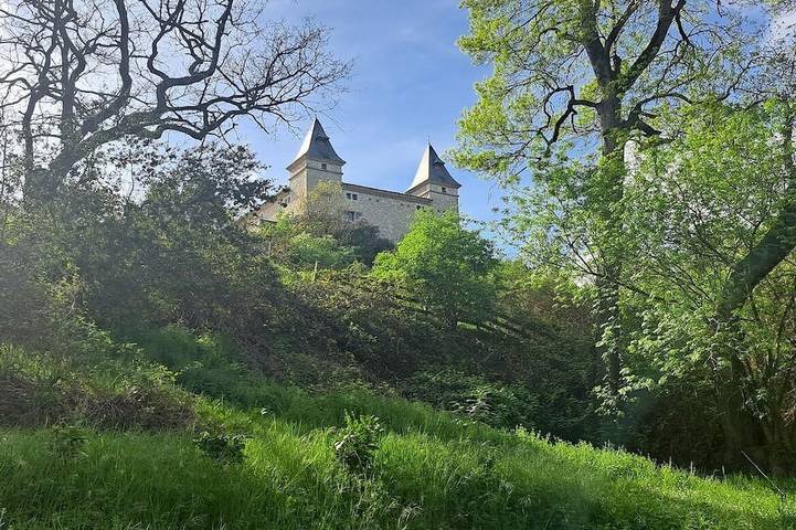 Château pour 12 personnes