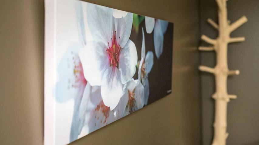 Maison de campagne pour 5 personnes, avec jardin, animaux acceptés dans Lac d'Orient - 3