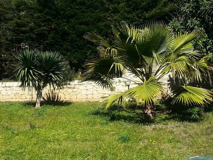Gîte pour 4 personnes, avec piscine à Cava d'Aliga - 4