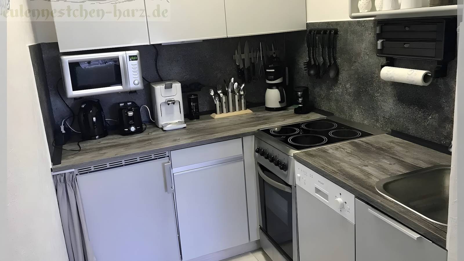 Ganze Wohnung, Apartment 'Eulennestchen-Harz S.1' mit Balkon und Wlan Hund und Kind in Altenau, Harzvorland