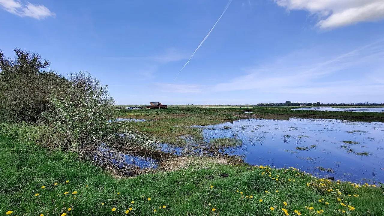 Ferienhaus für 12 Personen (183 m²) in Aabybro in Aabybro, Jammerbugt